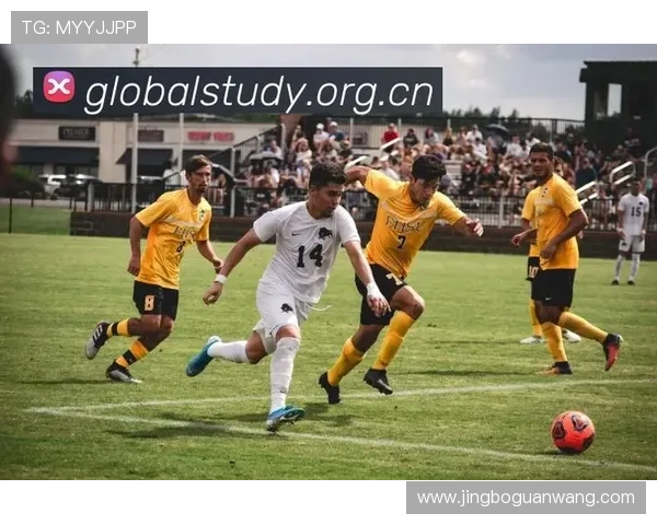 乐鱼·体育官网推出创新赛事竞猜活动,增强用户参与感与平台粘性 乐鱼·体育官网推出创新赛事竞猜活动,增强用户参与感与平台粘性