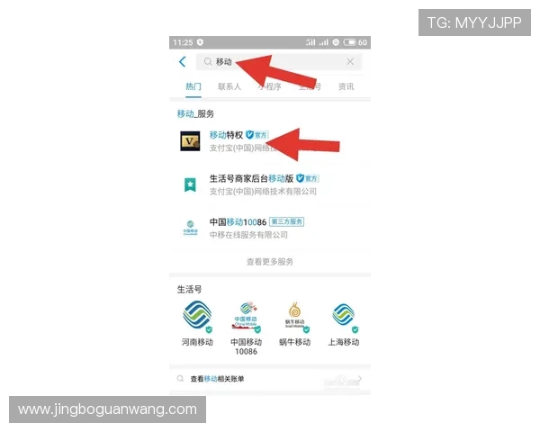 人人体育平台官网用户指南，帮助新手快速掌握赛事查询与投注技巧