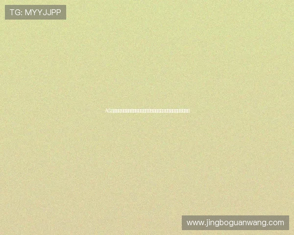 AG视讯庄闲赔率分析：结合世界杯比赛数据提升投注决策的科学性与准确性
